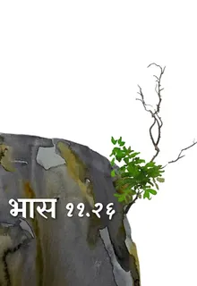 भास ११.२६